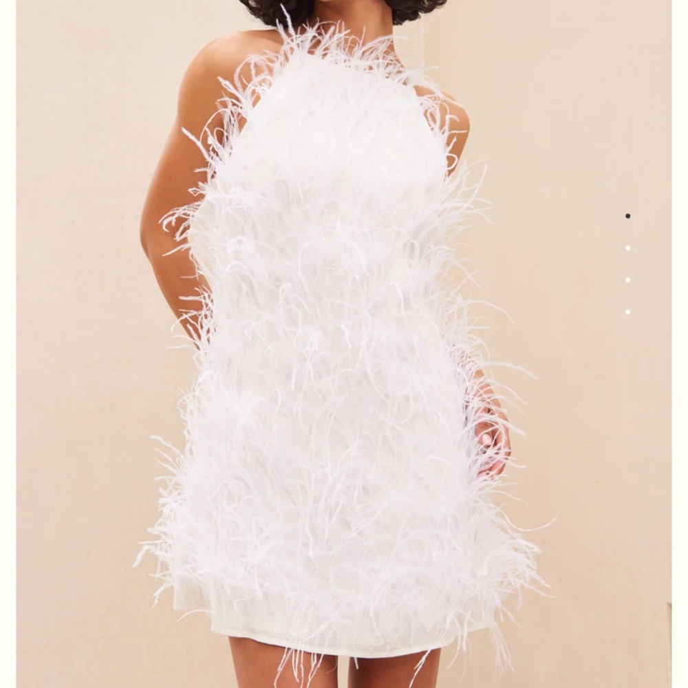 Cult Gaia Shannon feather dress